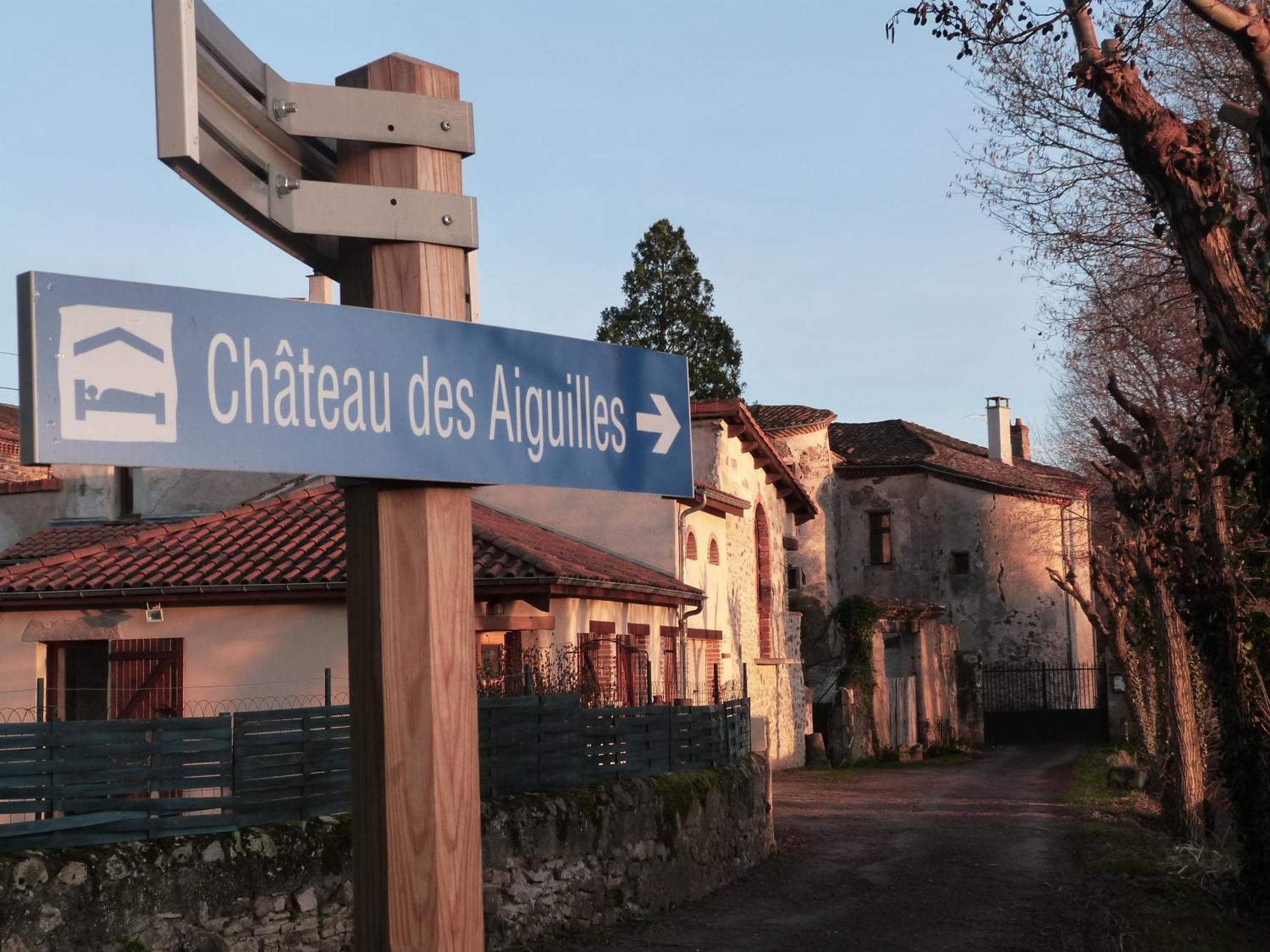 Chateau Des Aiguilles Saint-Rémy-de-Chargnat Exterior foto