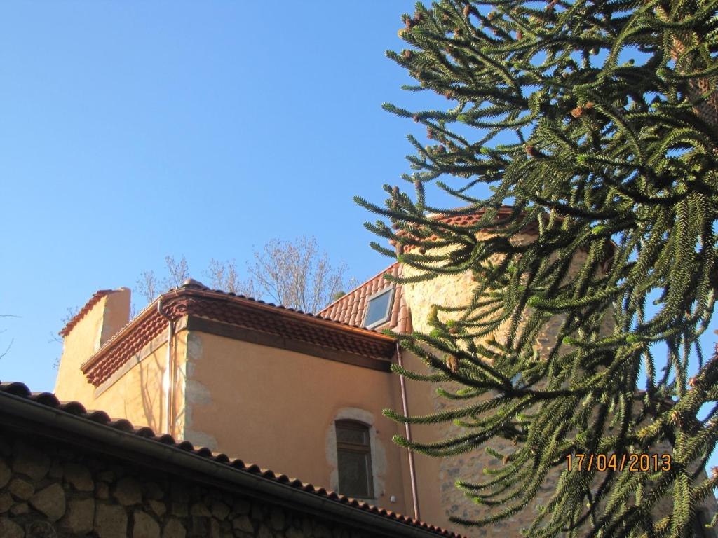 Chateau Des Aiguilles Saint-Rémy-de-Chargnat Exterior foto